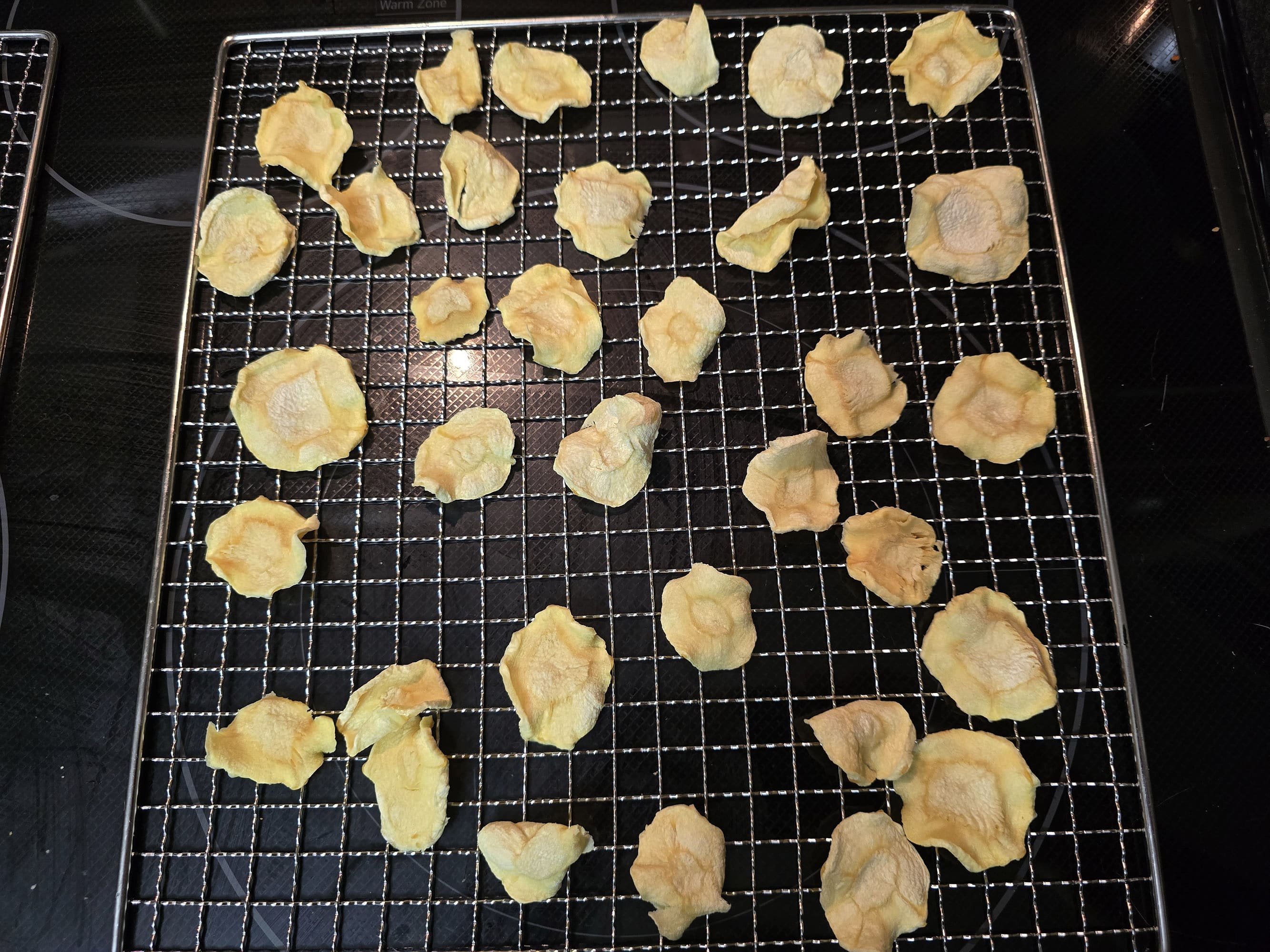A dehydrator rack of crunchy dried parsnip slices.