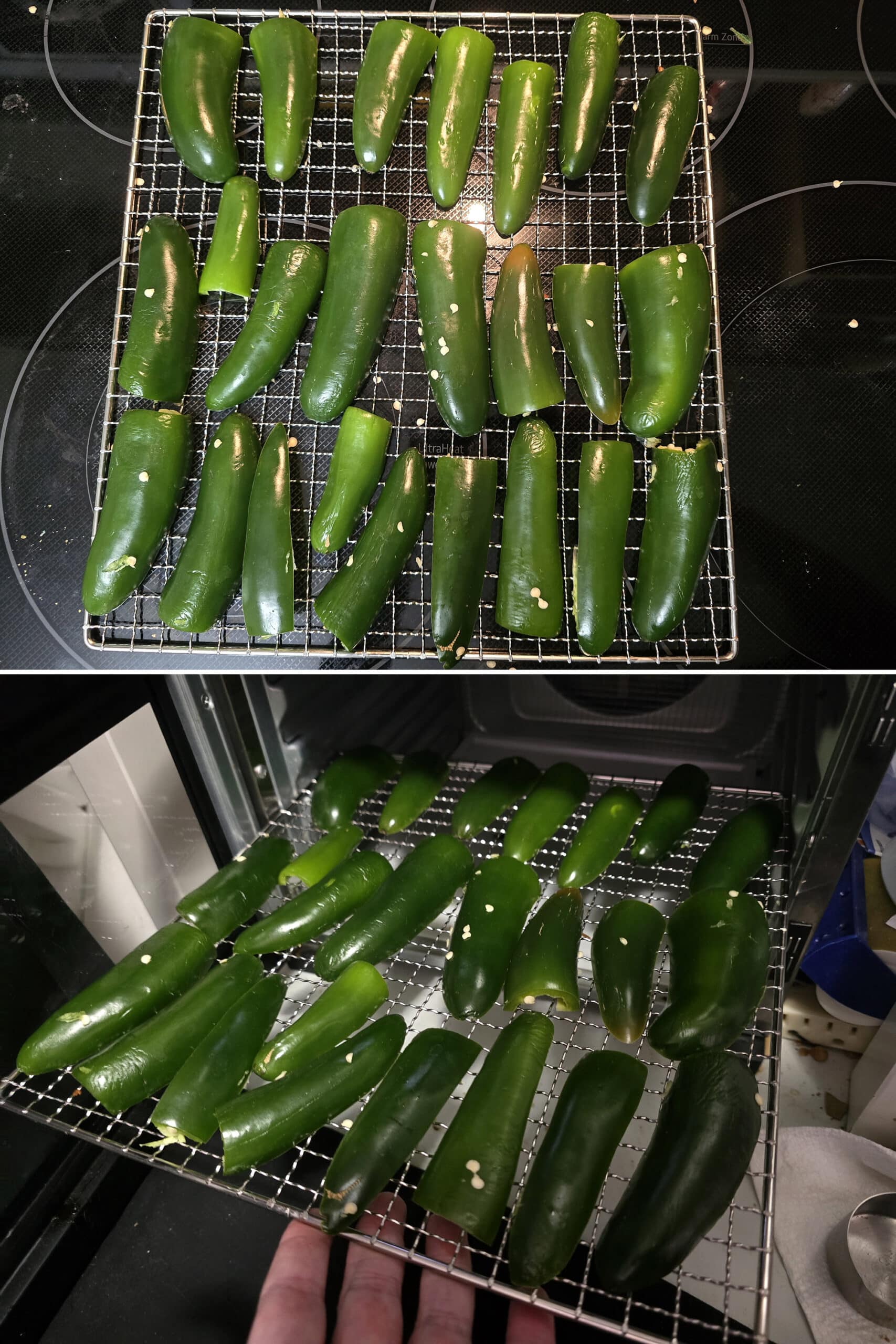 Fresh cut jalapeno halves arranged on a dehydrator rack, and the rack being put in a food dehydrator.