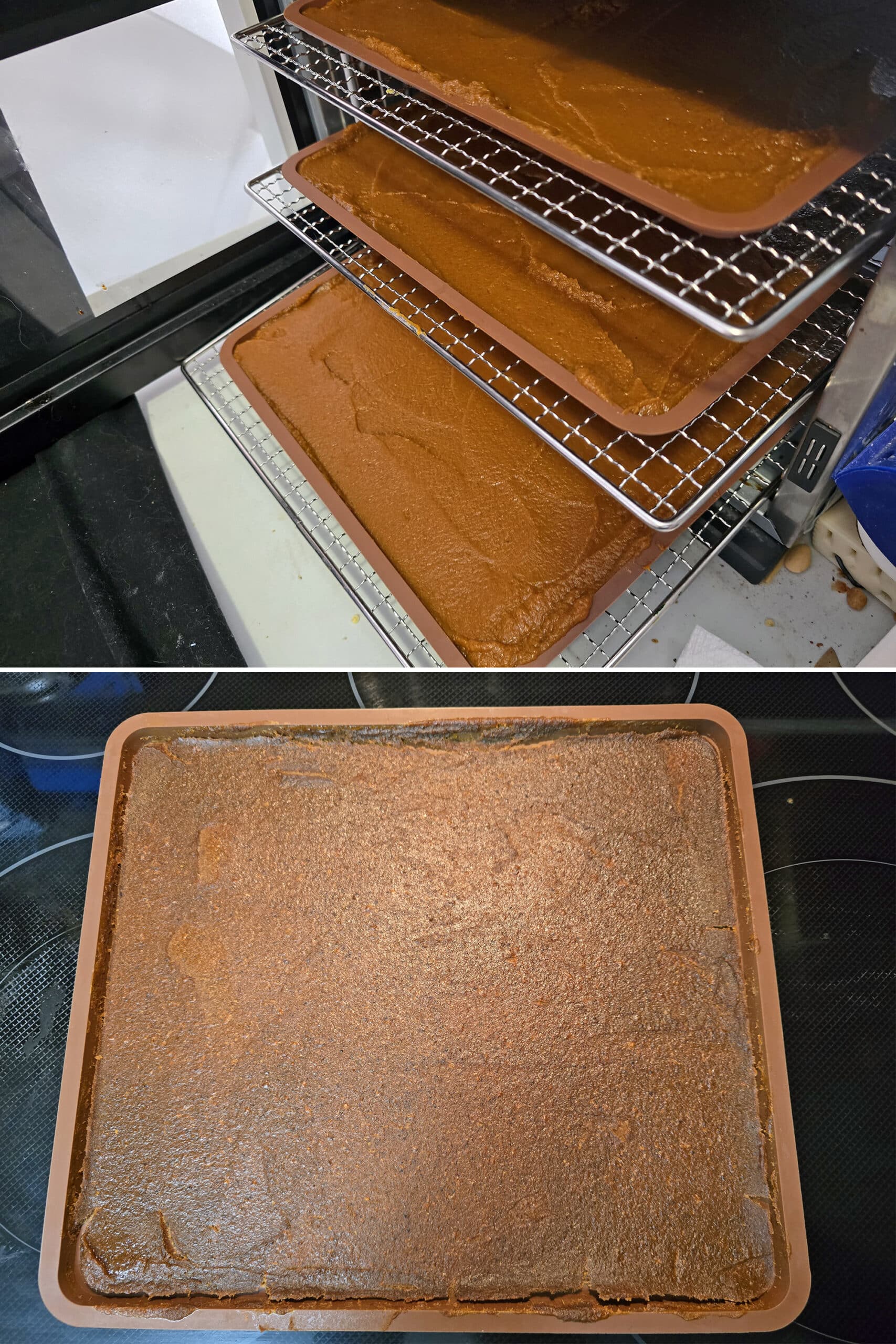 2 part image showing trays of pumpkin spice fruit leather before and after drying.